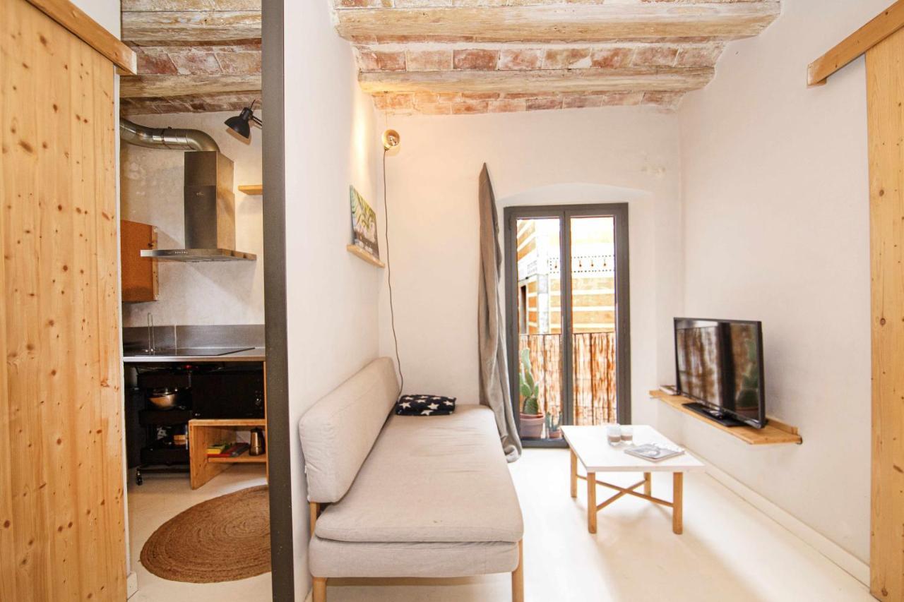 Apartamento Tr Auriga En El Barri Vell ジローナ エクステリア 写真
