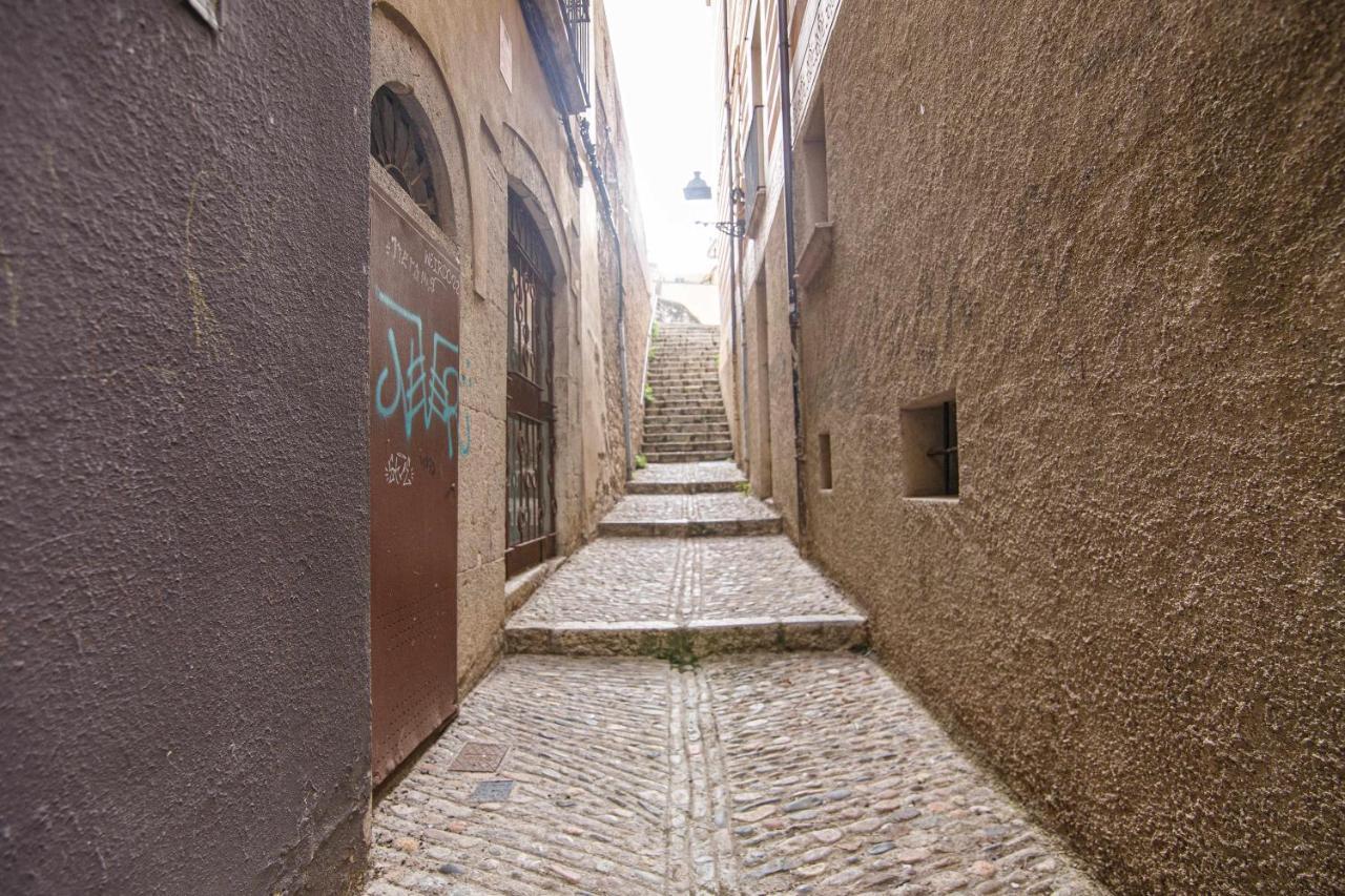 Apartamento Tr Auriga En El Barri Vell ジローナ エクステリア 写真